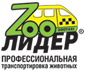 zootaxi